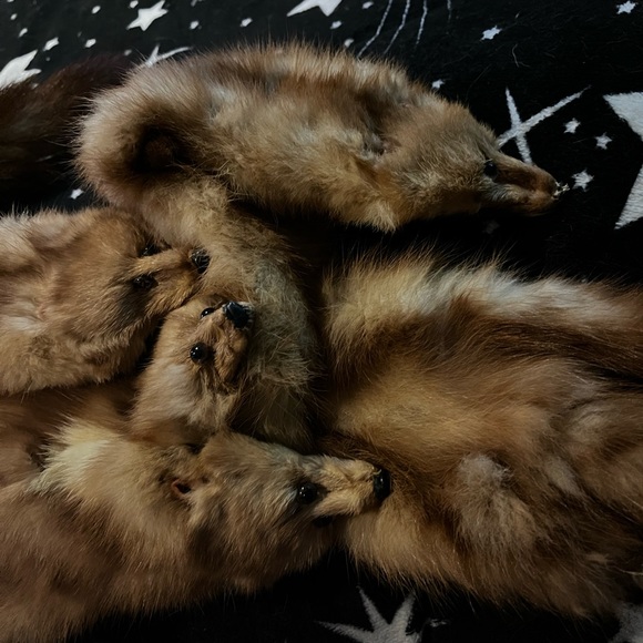 Vintage mink stole - Picture 2 of 6